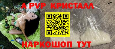 a pvp Гатчина