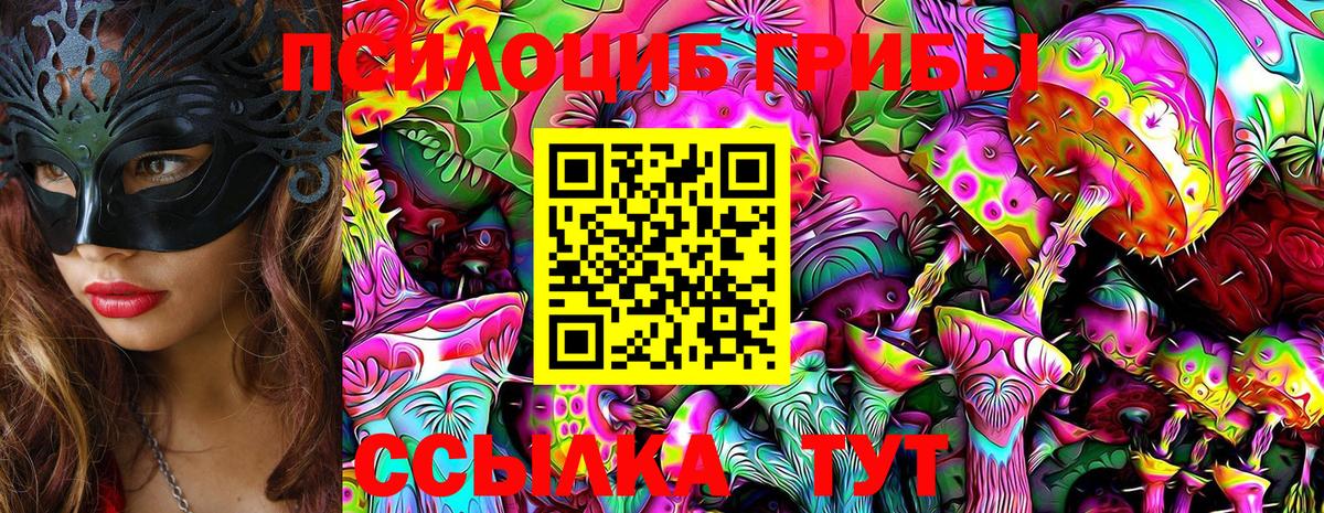 Галлюциногенные грибы Psilocybe Кирово-Чепецк