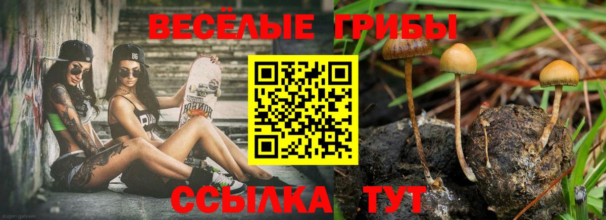 Галлюциногенные грибы GOLDEN TEACHER  Вход с VPN  Кирово-Чепецк 