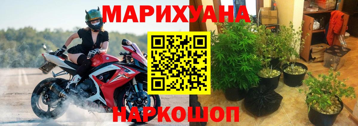 Канабис индика  Каннабис Ganja  Шишки марихуана план  Кирово-Чепецк  Вход с VPN  МАРИХУАНА Ganja 